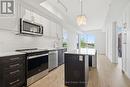 417 - 201 Brock Street S, Whitby (Downtown Whitby), ON 