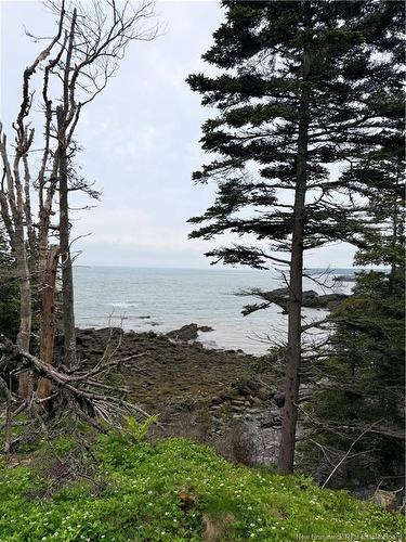 - Meadow Cove Rd, Musquash, NB 