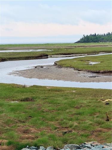 - Meadow Cove Rd, Musquash, NB 