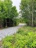 - Meadow Cove Rd, Musquash, NB 