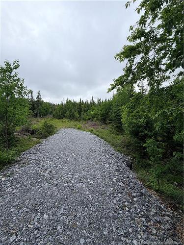 - Meadow Cove Rd, Musquash, NB 