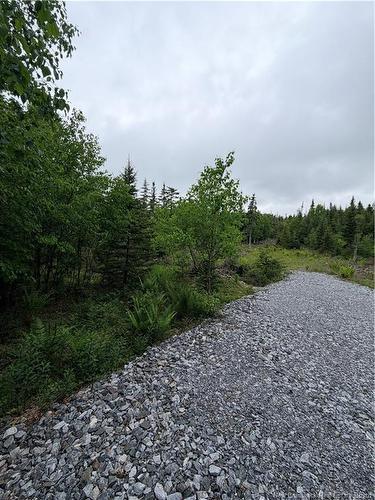 - Meadow Cove Rd, Musquash, NB 