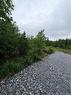 - Meadow Cove Rd, Musquash, NB 