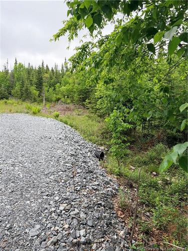 - Meadow Cove Rd, Musquash, NB 