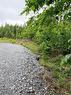 - Meadow Cove Rd, Musquash, NB 