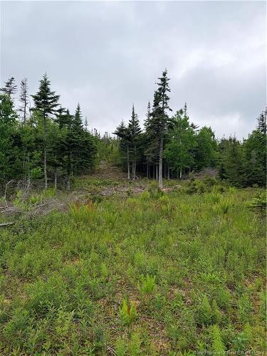 - Meadow Cove Rd, Musquash, NB 