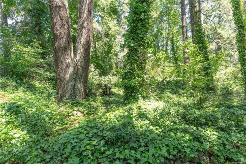 1254 Burnside Rd West, View Royal, BC 