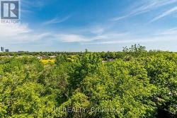 Balcony View - 