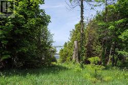 deep back yard - 