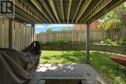 Backyard - 