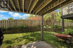 Backyard - 