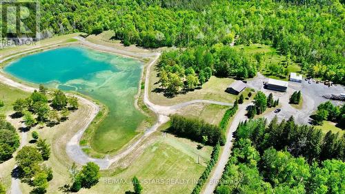 502 Pontypool Road, Kawartha Lakes, ON 