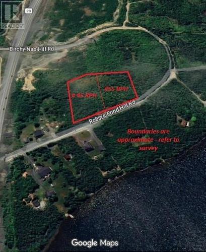 45 Robin'S Pond Hill Road, Torbay, NL 