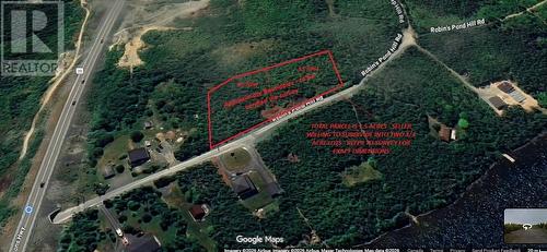 45 Robin'S Pond Hill Road, Torbay, NL 