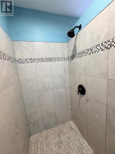 138 Birchy Point Road, Campbellton, NL 