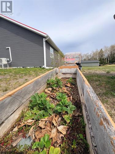 138 Birchy Point Road, Campbellton, NL 