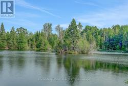 Your private pond! - 
