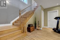 Carpet free home - 