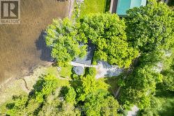 Peaceful shoreline with dock and calm waters - 