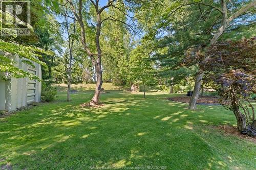 310 River Avenue, Lasalle, ON 