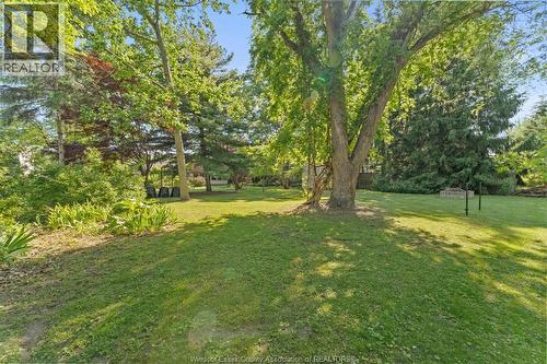 310 River Avenue, Lasalle, ON 
