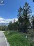 Pineridge Mountain Trail Lot# 74, Invermere, BC 