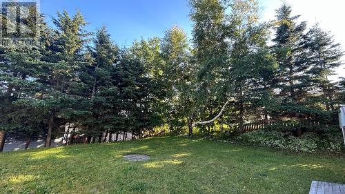 5 King Street, Stephenville, NL 
