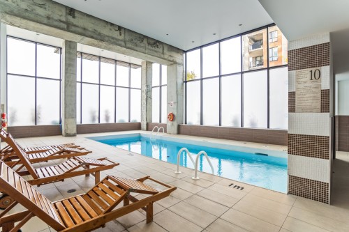 Pool - 207-801 Rue De La Commune E., Montréal (Ville-Marie), QC - Indoor Photo Showing Other Room With In Ground Pool