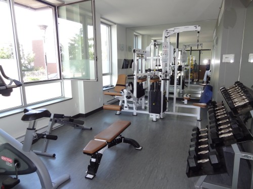 Exercise Room - 207-801 Rue De La Commune E., Montréal (Ville-Marie), QC - Indoor Photo Showing Gym Room