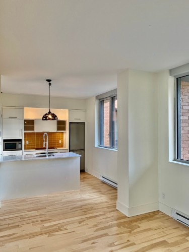 Kitchen - 207-801 Rue De La Commune E., Montréal (Ville-Marie), QC - Indoor Photo Showing Other Room