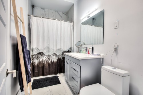 Salle de bains - 115 4E Avenue, Montréal (Verdun/Île-Des-Soeurs), QC 