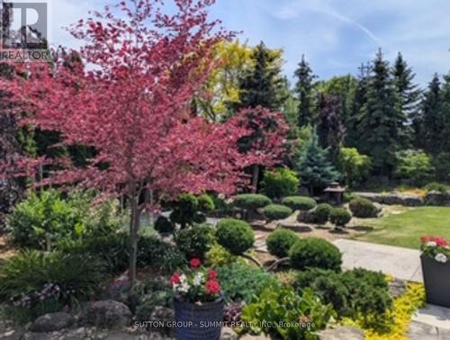 14 Plainsman Road, Mississauga, ON 