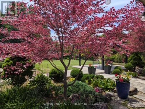 14 Plainsman Road, Mississauga, ON 
