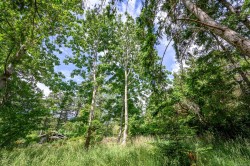 4920 Kirk Rd  Hornby Island, BC V0R 1Z0