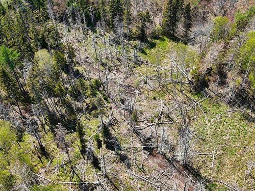 7004 Marble Mountain Road, Malagawatch, NS 