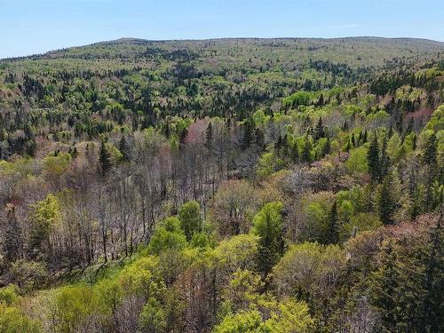 7004 Marble Mountain Road, Malagawatch, NS 