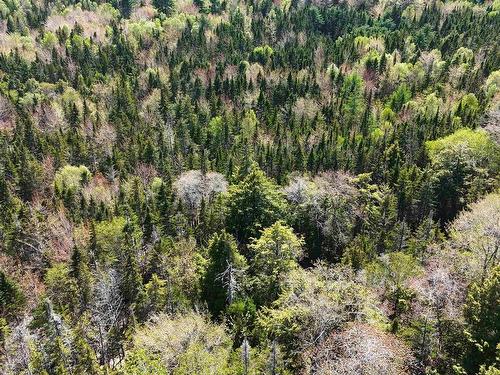7004 Marble Mountain Road, Malagawatch, NS 