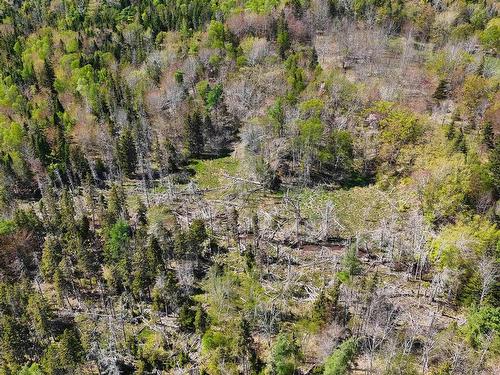 7004 Marble Mountain Road, Malagawatch, NS 