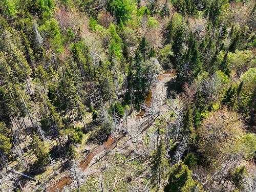 7004 Marble Mountain Road, Malagawatch, NS 