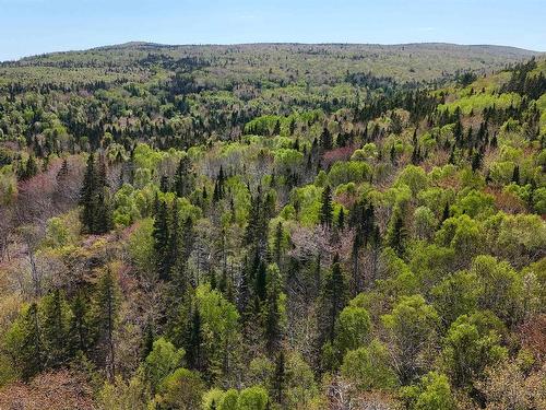 7004 Marble Mountain Road, Malagawatch, NS 