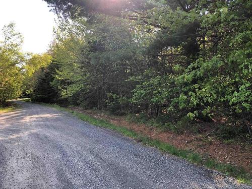 Lot Mailman Road, Baker Settlement, NS 