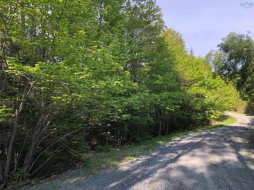 Lot Mailman Road, Baker Settlement, NS 