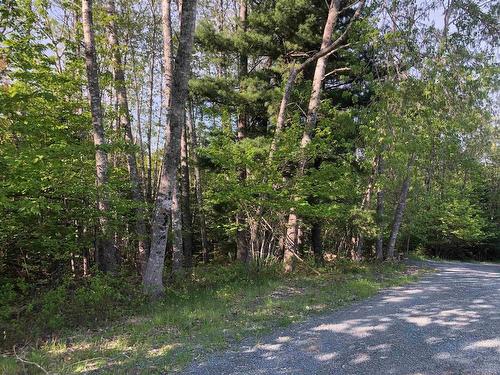 Lot Mailman Road, Baker Settlement, NS 