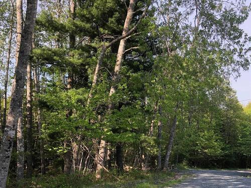 Lot Mailman Road, Baker Settlement, NS 