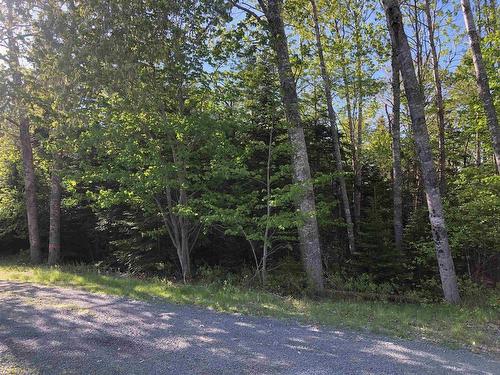 Lot Mailman Road, Baker Settlement, NS 