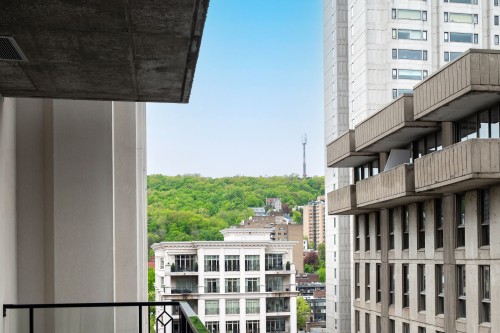 Vue - 1522-1518 Rue Sherbrooke O., Montréal (Ville-Marie), QC 