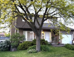 1630 Crois. Tolstoi  Brossard, QC J4W 3G8