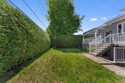 Courtyard - 