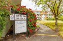 #110-1680 Poplar Ave, Saanich, BC 