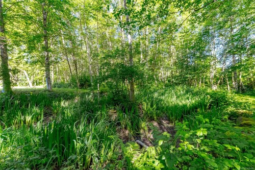 3401 River Rd, Chemainus, BC 